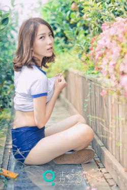 野鸭子电视剧